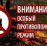 В лесах Брянской области будет введен особый противопожарный режим - Пламя Труда