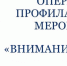 Внимание пешеход! - Газета Дятьковский вестник